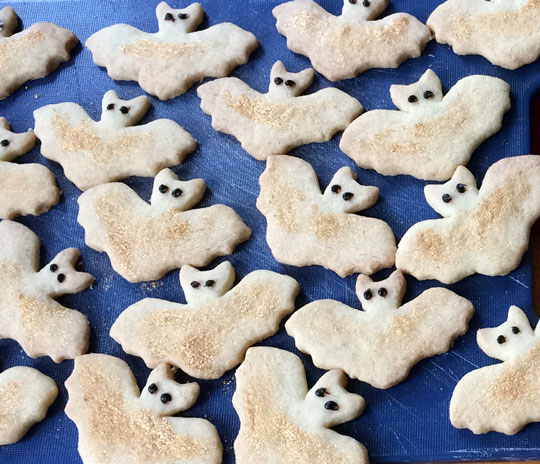 Fledermaus Plätzchen 