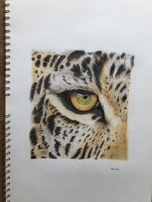 Zeichnung Leopardenauge