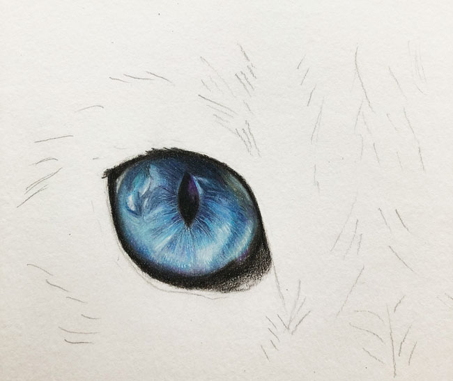 Zeichnung Blaue Katzenaugen