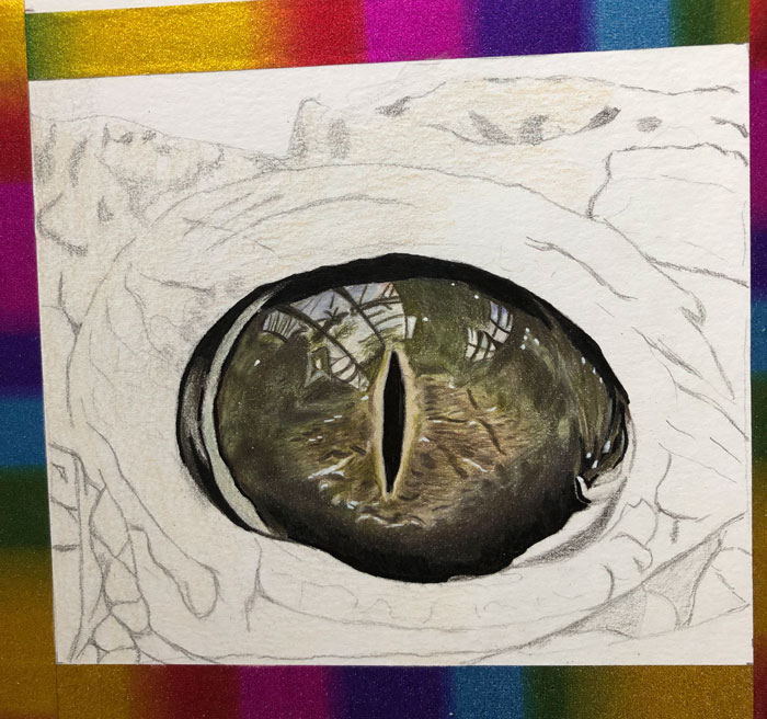 Zeichnung Krokodilauge