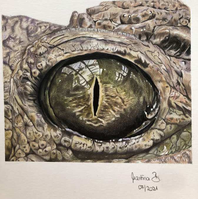 Zeichnung Krokodilauge