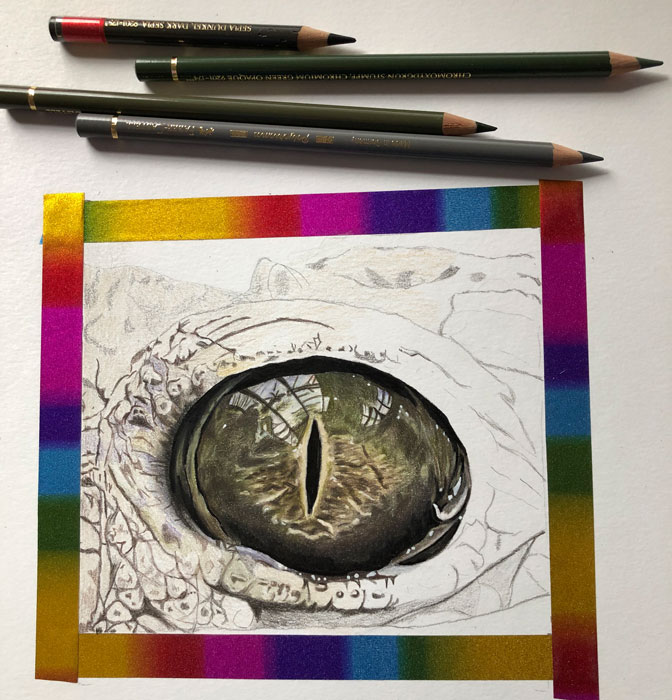 Zeichnung Krokodilauge